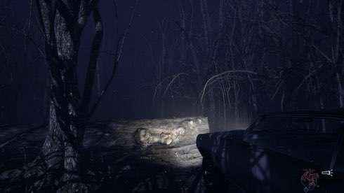 CENTRALIA - скриншот 1