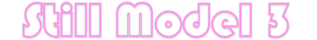Still Model 3 logo