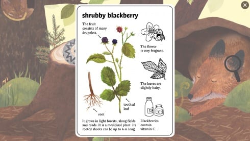 Мышкина Энциклопедия - скриншот 2