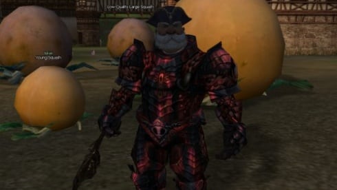 Линейдж 2 Интерлюд - скриншот 2