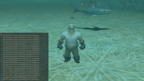 Линейдж 2 Интерлюд - скриншот 3