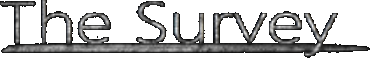 The Survey logo