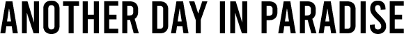 Another Day in Paradise logo