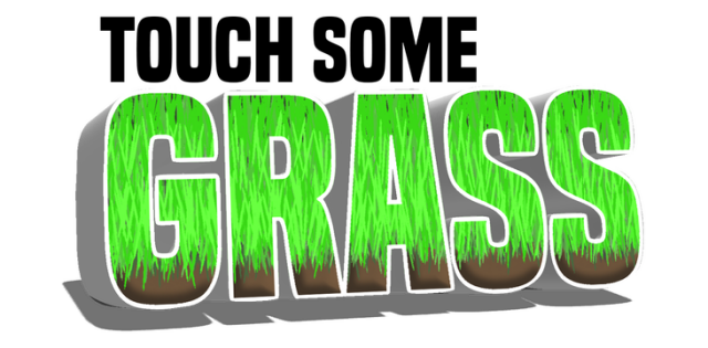 Touch Some Grass - логотип игры