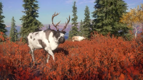 theHunter: Call of the Wild - Yukon Valley - скриншот 1