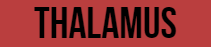 Thalamus logo