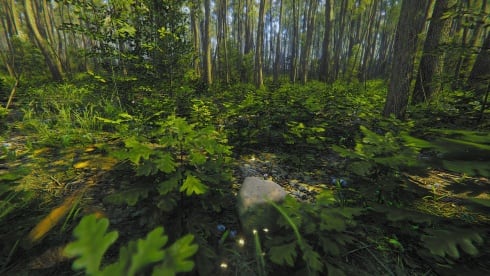 Mindfulness Simulator - ASMR Meditation Game - скриншот 5