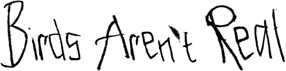 Birds Aren't Real logo