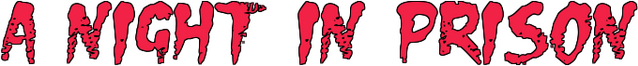 A Night in Prison logo
