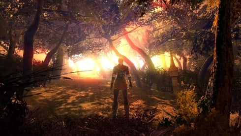 Enchanted Arms: Special Edition - скриншот 1