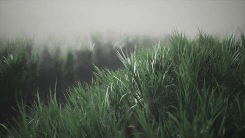 Myrdalssandur, Iceland - скриншот 2