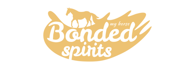 My Horse: Bonded Spirits logo