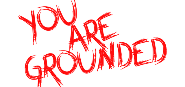 You Are Grounded logo