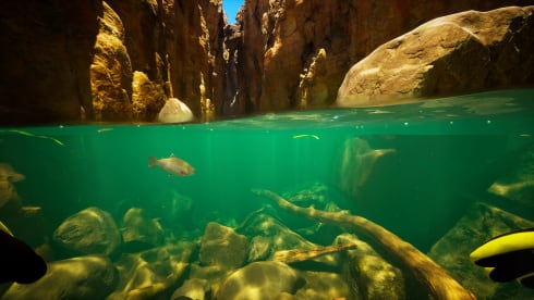 Subside - скриншот 3