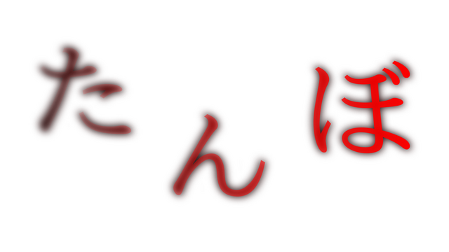 The Paddy Field logo