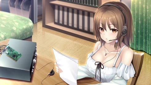 The Future Radio and the Artificial Pigeons - скриншот 5