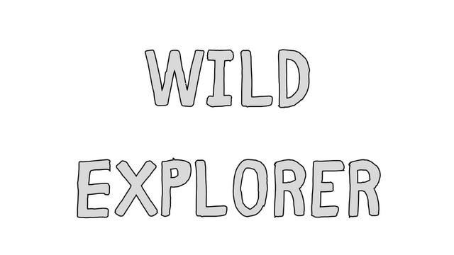 Wild Explorer logo