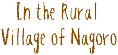 In The Rural Village of Nagoro logo