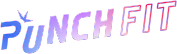 PUNCH FIT logo