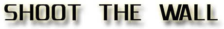 Shoot The Wall logo