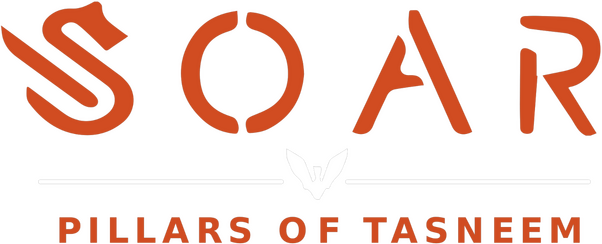 Soar: Pillars of Tasneem logo