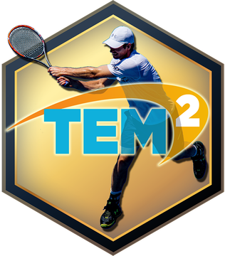 Tennis Elbow Manager 2 logo