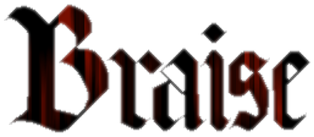 Braise logo