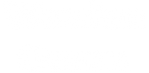 Wooden Ocean - логотип игры