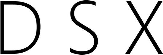 DSX - логотип игры