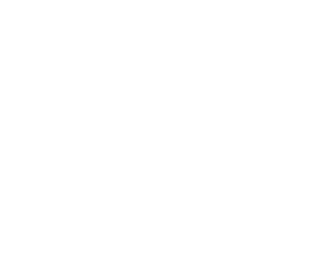 The Ruin Wanderer logo