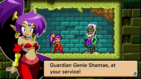 Shantae Advance: Risky Revolution - скриншот 6
