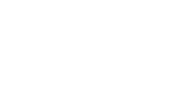 Baggage Handler Simulator logo