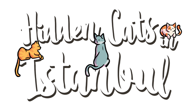 Hidden Cats in Istanbul logo