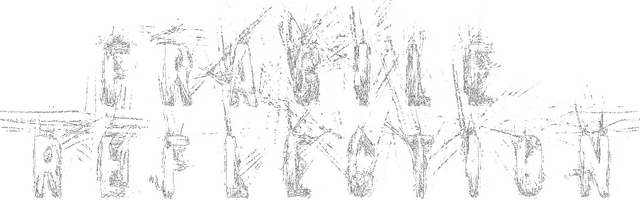 Fragile Reflection logo