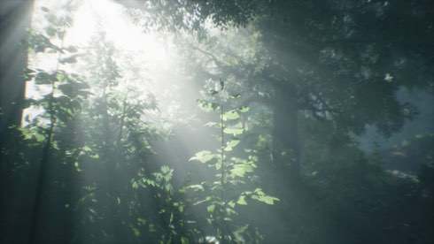 Wakamarina Valley, New Zealand - скриншот 1