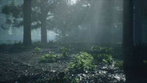 Wakamarina Valley, New Zealand - скриншот 3