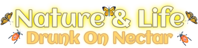 Nature And Life - Drunk On Nectar - логотип игры