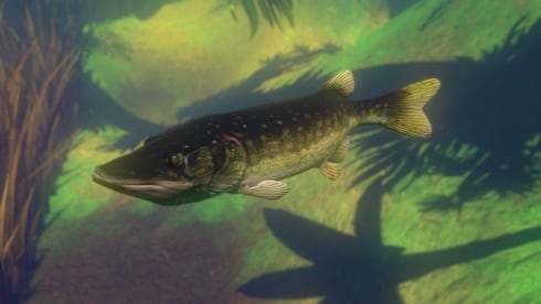 Feed and Grow: Fish по сети - скриншот 3