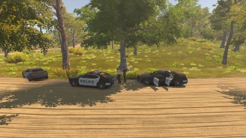 Flashing Lights по сети - скриншот 3