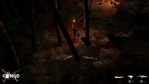 Congo по сети - скриншот 1