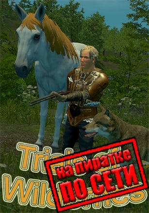 Trials of Wilderness по сети - скачать торрент бесплатно на ПК