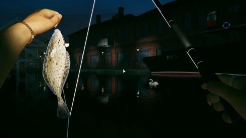 Ultimate Fishing Simulator 2 по сети - скриншот 3