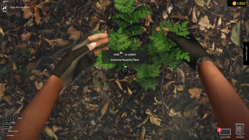 Aquascapers по сети - скриншот 2