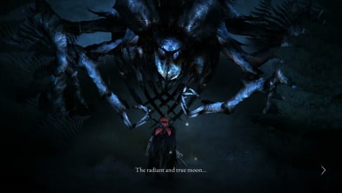 Perennial Order по сети - скриншот 2