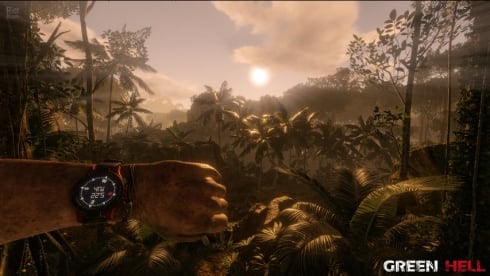 Green Hell по сети - скриншот 3