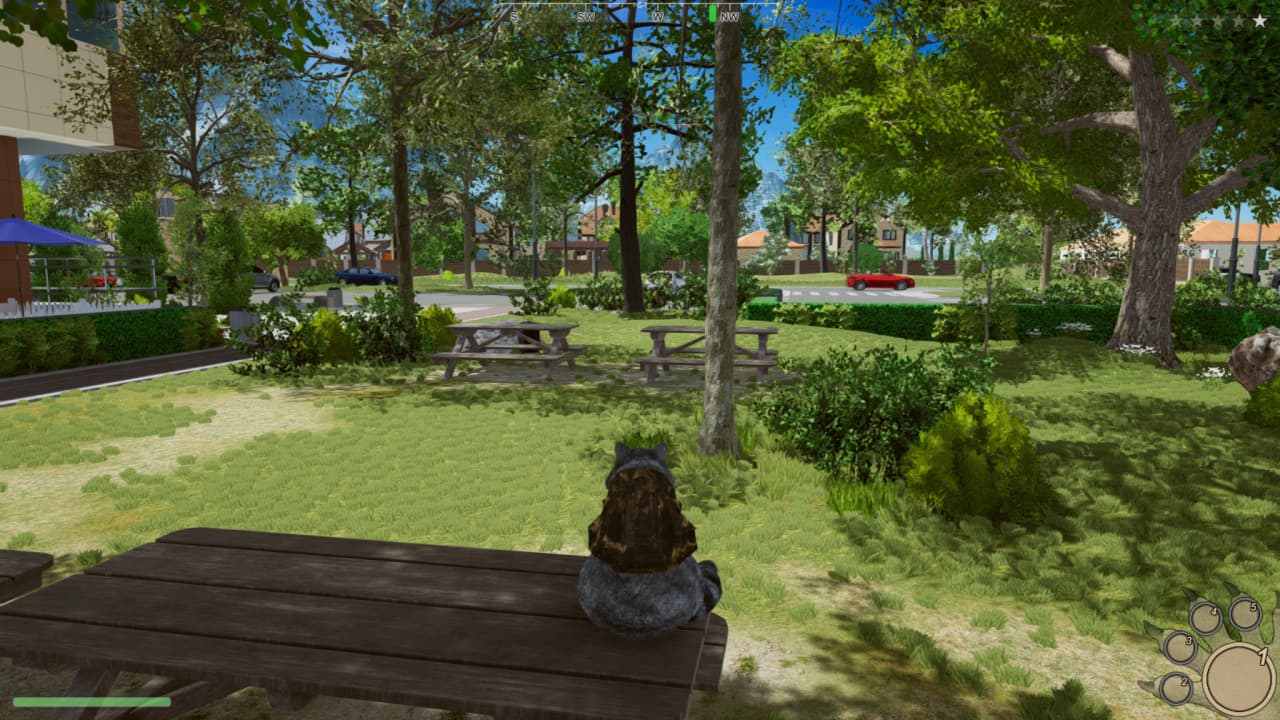 Wanted Raccoon по сети - скриншот 1