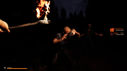 Mist Survival по сети - скриншот 2