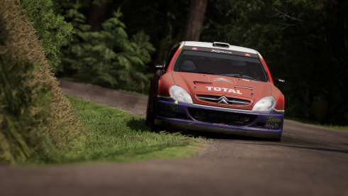 Assetto Corsa Rally - скриншот 4