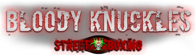 Bloody Knuckles Street Boxing - логотип игры