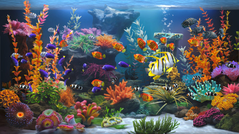 Zen Aquarium - скриншот 1